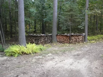 [Hearth.com] Future Tree Identification
