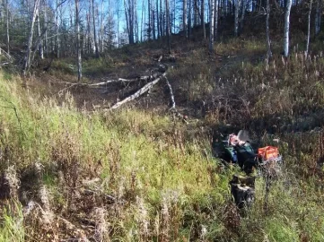 [Hearth.com] Some birch for me & some for the moose