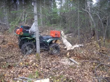 [Hearth.com] Some birch for me & some for the moose