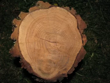 [Hearth.com] Wood ID please