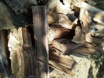 [Hearth.com] Green wood ID