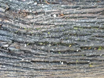 [Hearth.com] Log 2 ID Please