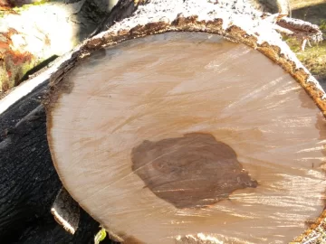 [Hearth.com] Log 2 ID Please