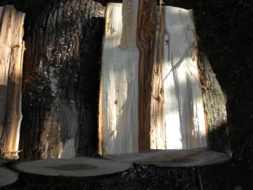 [Hearth.com] Log 2 ID Please