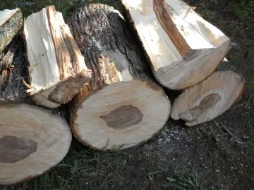 [Hearth.com] Log 2 ID Please