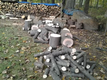 [Hearth.com] Oak from felled tree