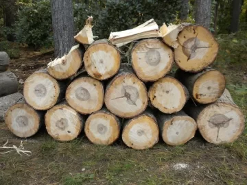 [Hearth.com] Log 3 ID, I Think I Got This One!