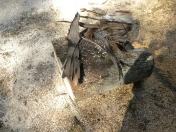 [Hearth.com] Log 2 ID Please