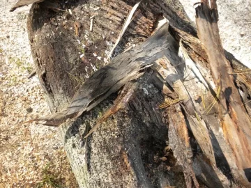 [Hearth.com] Log 2 ID Please