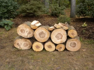 [Hearth.com] Log 2 ID Please