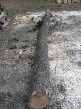 [Hearth.com] Log 4 ID...I'm Thinking Red Oak