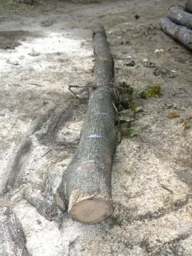 [Hearth.com] Log 4 ID...I'm Thinking Red Oak
