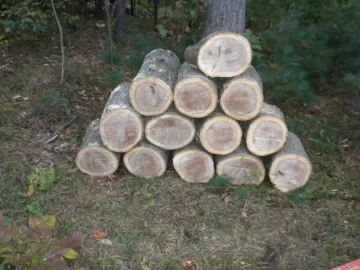 [Hearth.com] Log 4 ID...I'm Thinking Red Oak