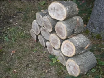[Hearth.com] Log 4 ID...I'm Thinking Red Oak