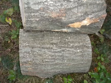 [Hearth.com] Log 4 ID...I'm Thinking Red Oak