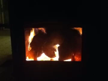 [Hearth.com] First Load of Pine