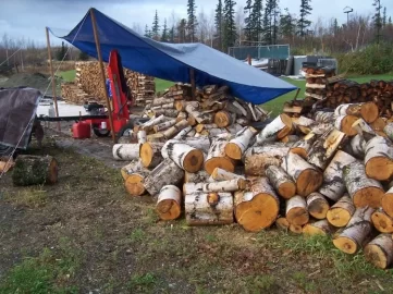 [Hearth.com] Rain stopped, we stacked 2 cords of Birch ( +/- ) : pics