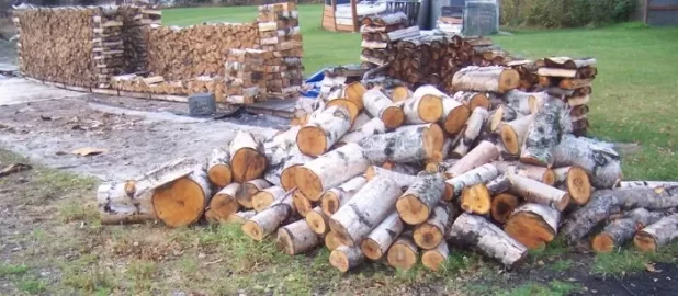 [Hearth.com] Rain stopped, we stacked 2 cords of Birch ( +/- ) : pics