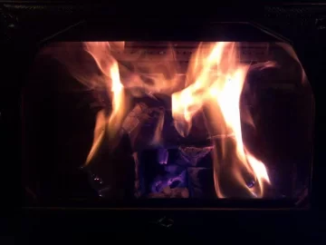 [Hearth.com] I love my woodstove!
