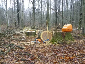 [Hearth.com] Log 4 ID...I'm Thinking Red Oak