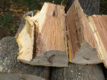 [Hearth.com] Log 4 ID...I'm Thinking Red Oak