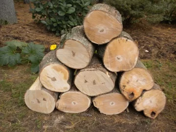 [Hearth.com] Log 5 ID, Maple?