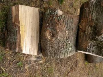 [Hearth.com] Log 5 ID, Maple?