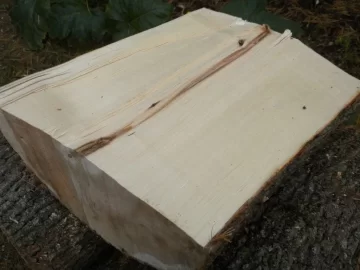 [Hearth.com] Log 5 ID, Maple?