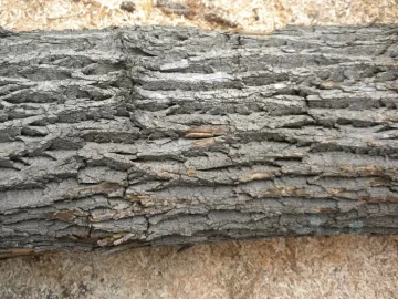 [Hearth.com] Log 6 ID Please..I have no clue!
