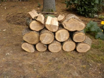 [Hearth.com] Log 6 ID Please..I have no clue!