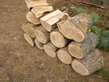 [Hearth.com] Log 6 ID Please..I have no clue!