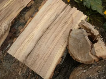 [Hearth.com] Log 6 ID Please..I have no clue!