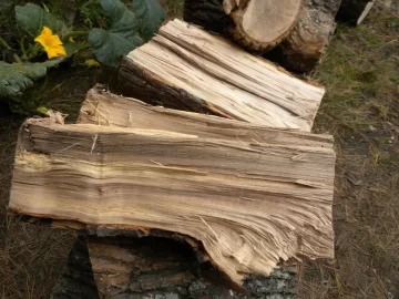 [Hearth.com] Log 6 ID Please..I have no clue!