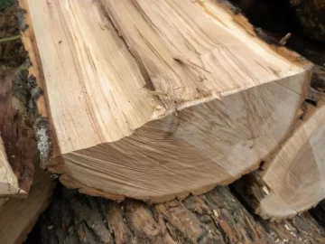 [Hearth.com] Log 6 ID Please..I have no clue!
