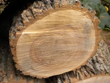[Hearth.com] Log 6 ID Please..I have no clue!