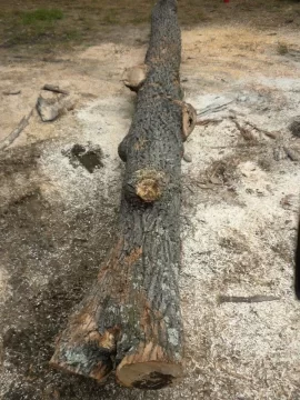 [Hearth.com] Log 6 ID Please..I have no clue!