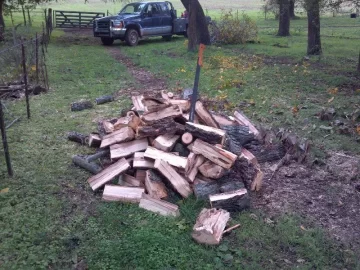 [Hearth.com] Need a Tree ID