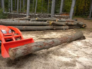 [Hearth.com] Log 7 Id, Looks like another hickory to me. Shagbark?