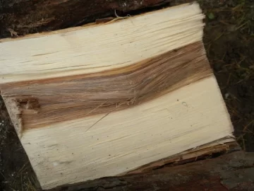 [Hearth.com] Log 7 Id, Looks like another hickory to me. Shagbark?
