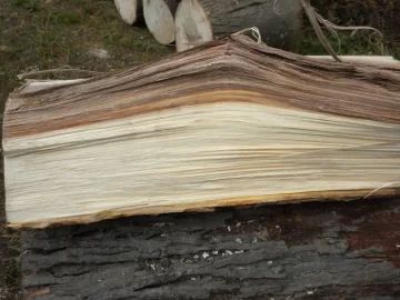 [Hearth.com] Log 7 Id, Looks like another hickory to me. Shagbark?