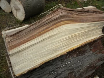 [Hearth.com] Log 7 Id, Looks like another hickory to me. Shagbark?