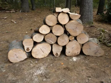 [Hearth.com] Log8 Id please.  Maple Maybe?