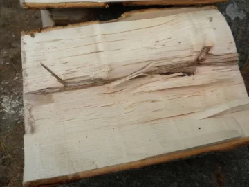 [Hearth.com] Log8 Id please.  Maple Maybe?