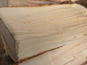[Hearth.com] Log8 Id please.  Maple Maybe?