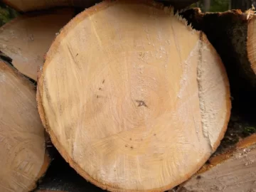 [Hearth.com] Log8 Id please.  Maple Maybe?
