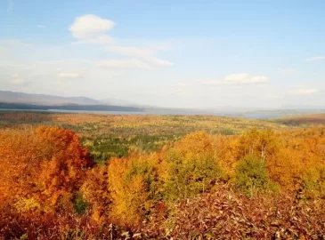 [Hearth.com] Fall in Maine