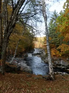 [Hearth.com] Fall in Maine