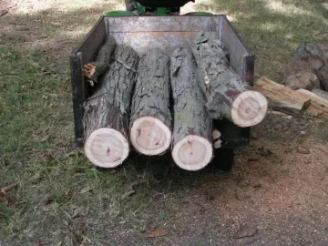 [Hearth.com] Log 7 Id, Looks like another hickory to me. Shagbark?