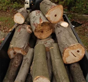 [Hearth.com] Log 7 Id, Looks like another hickory to me. Shagbark?