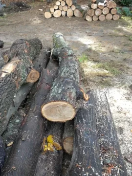 [Hearth.com] Log ID 9, Looks Like I Have Some White Oak Here.
